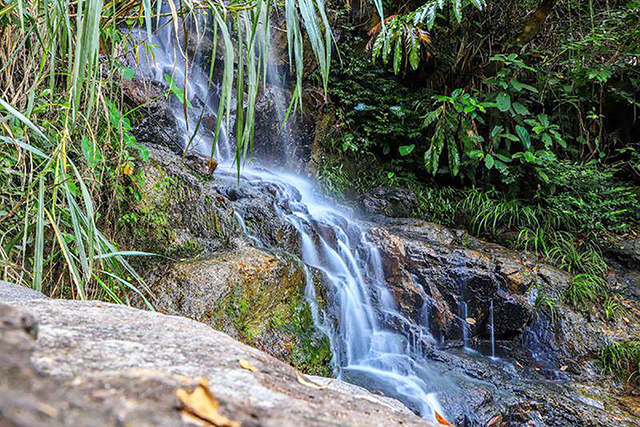 祥雲科創2021女神節活動圖